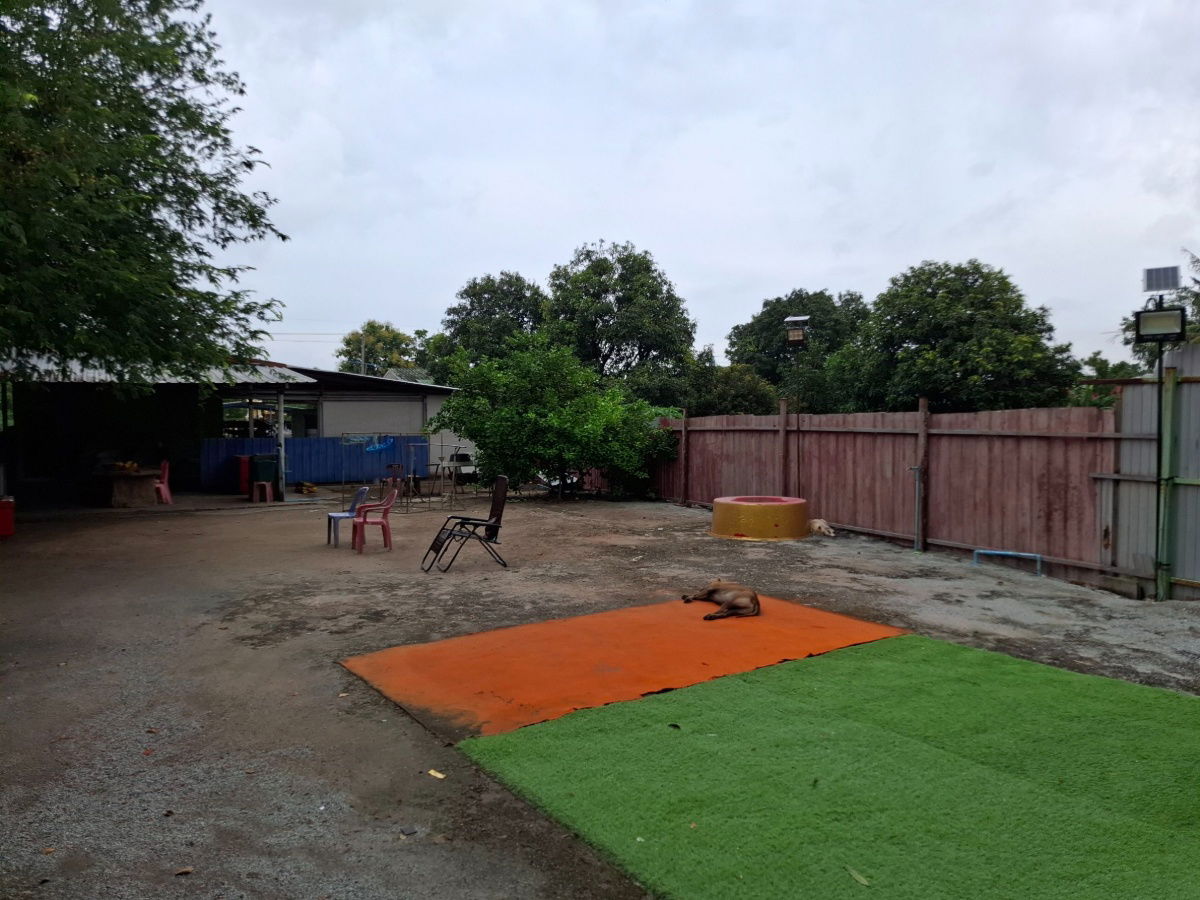 picture Warehouses / Factories for Sale in chonburi - 26/48