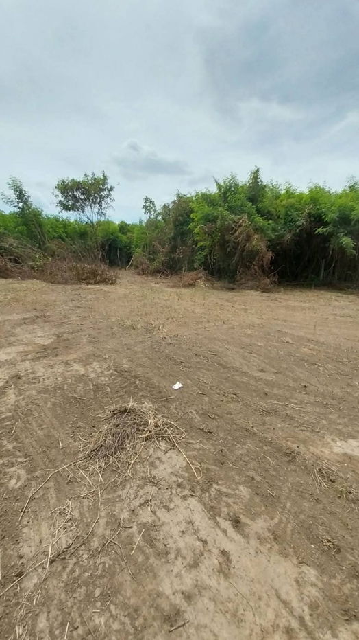 picture Land for sale on Malai Man Road 321, near Lotus Kamphaeng Saen - 7/20