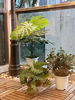 listing thumbnail image 5