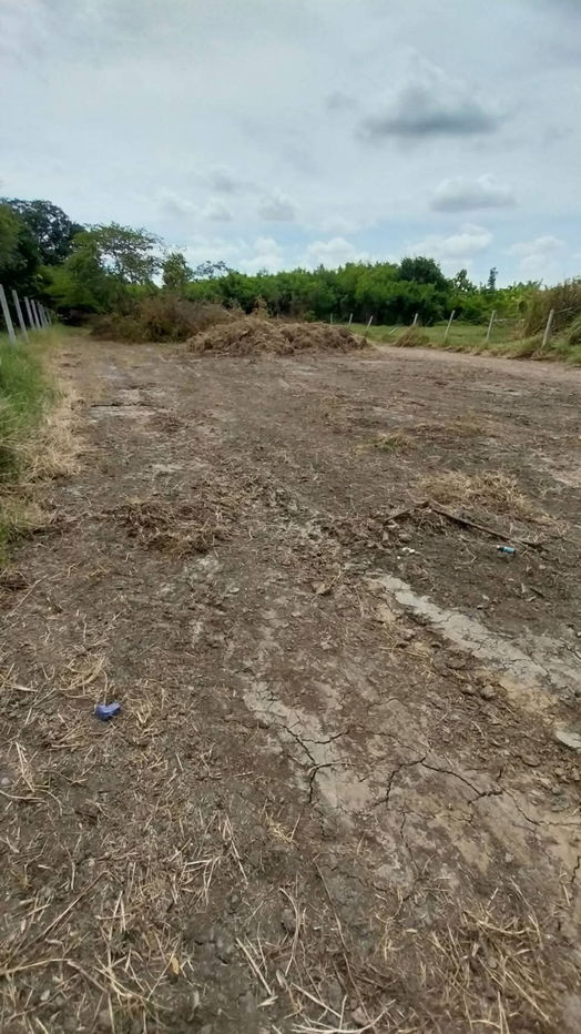 picture Land for sale on Malai Man Road 321, near Lotus Kamphaeng Saen - 5/20
