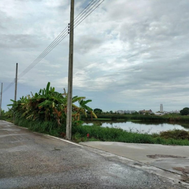 รูป ขายที่ดินแถวสุวรรณภูมิทำเลทองราคาถูก - รูปที่ 4/9