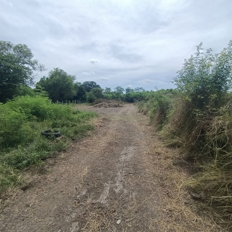 picture Land for sale on Malai Man Road 321, near Lotus Kamphaeng Saen - 12/20
