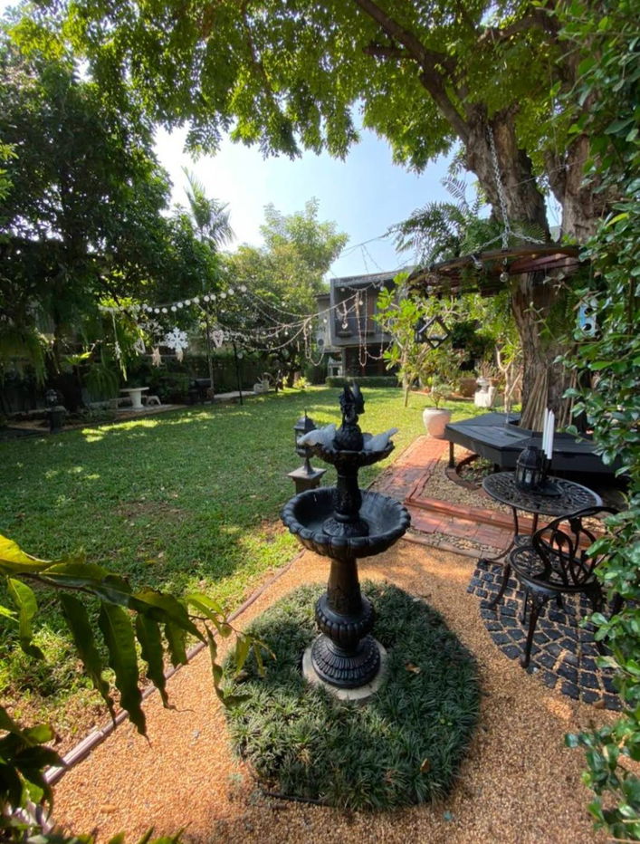 รูป ขายบ้านเดี่ยวสุขุมวิท58 บางจาก ที่ดินพร้อมบ้านในสวนร่มรื่น 170ตร.ว 6ห้องนอน ใกล้ BTSบางจาก อ่อนนุช บ้านสวยหลังใหญ่ Sukhumvit Detached House 0879074045 - รูปที่ 4/5