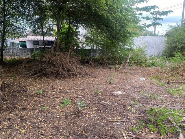 picture FOR RENT  LAND PROPERTY  15000 BAHT per MONTH - 6/8