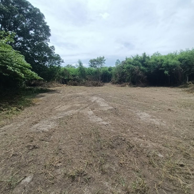 picture Land for sale on Malai Man Road 321, near Lotus Kamphaeng Saen - 15/20