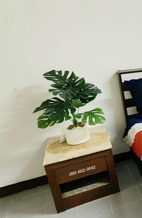 รูป 🌿🌿🌿ให้เช่าคอนโดสมุทรมาลี (( 3500 ต่อเดือน / โคมไฟระย้า ห้องสวยมาก / ห้องแอร์ )) ใกล้ตลาดพระประแดง & Big C พระประแดง - รูปที่ 2/11
