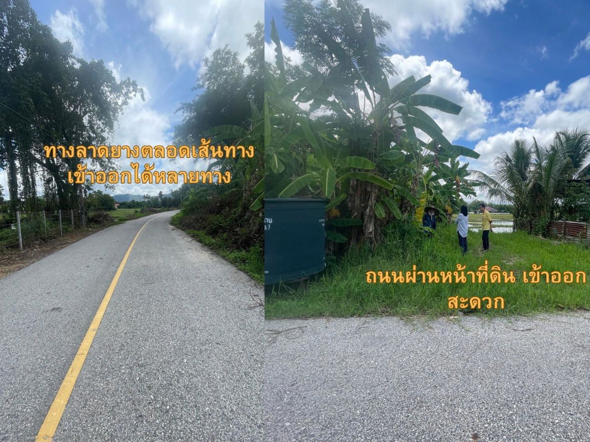 รูป ขายที่นา สันทราย อ.ดอยสะเก็ด เชียงใหม่ 7 ไร่ 108.9 ตรว. - รูปที่ 9/11