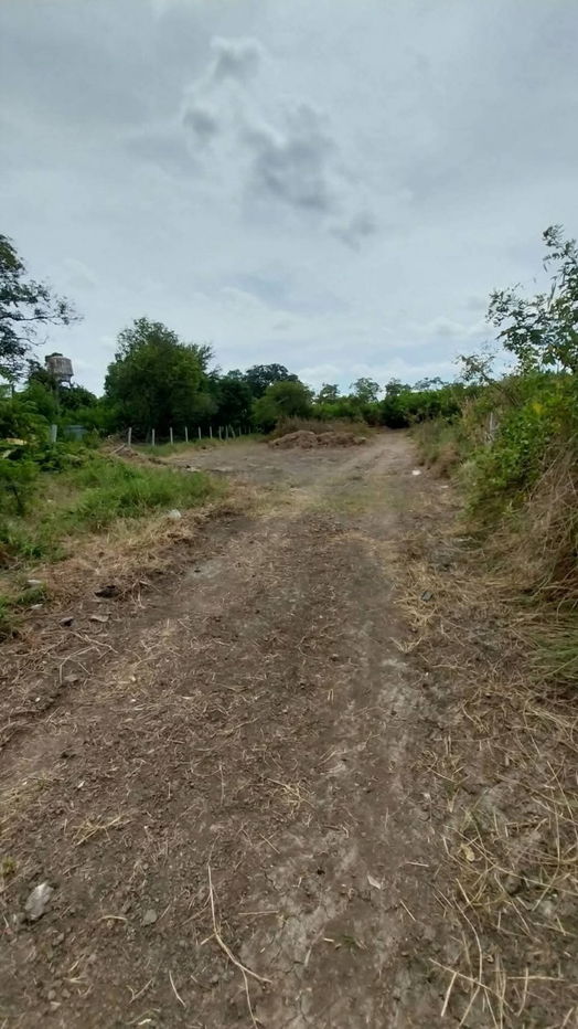 picture Land for sale on Malai Man Road 321, near Lotus Kamphaeng Saen - 3/20