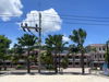 listing thumbnail image 23