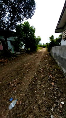 Land for sale : Land for sale on Malai Man Road 321, near Lotus Kamphaeng Saen