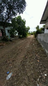 ขายที่ดินติดถนนมาลัยแมน 321 ใกล้โลตัสกำแพงแสน