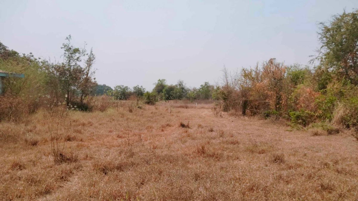 รูป บ้านป่ารัง ตำบลหนองปลิง อำเภอเมืองนครสวรรค์  - รูปที่ 1/1