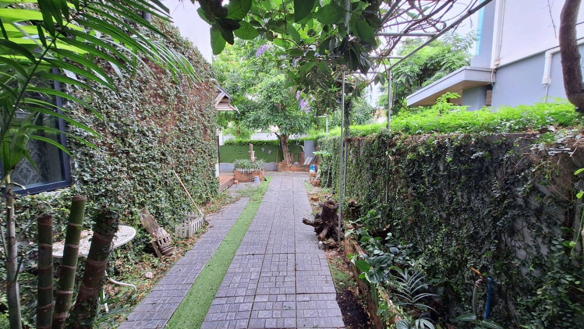 picture House for Sale 2 Storeys Delight Bangna Srinakarin 59.4 sq.wa  - 33/66