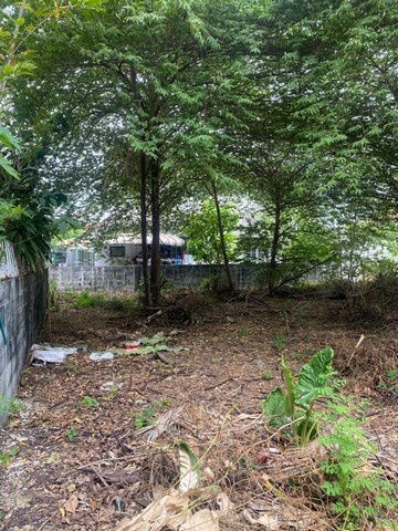 picture FOR RENT  LAND PROPERTY  15000 BAHT per MONTH - 2/8