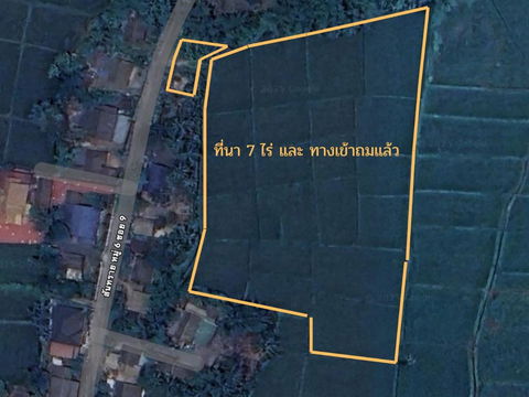 ขายที่นา สันทราย อ.ดอยสะเก็ด เชียงใหม่ 7 ไร่ 108.9 ตรว.