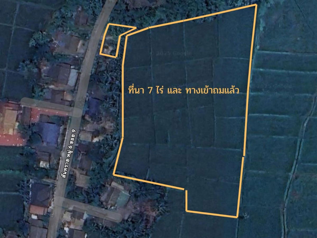 รูป ขายที่นา สันทราย อ.ดอยสะเก็ด เชียงใหม่ 7 ไร่ 108.9 ตรว. - รูปที่ 1/11