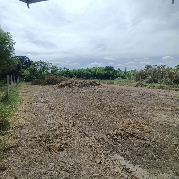 picture Land for sale on Malai Man Road 321, near Lotus Kamphaeng Saen - 14/20