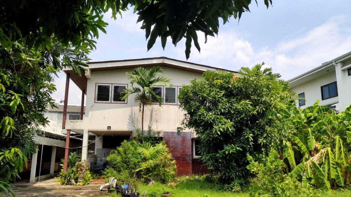 รูป ขายที่ดินปุณณวิถี สุขุมวิท101 ใกล้รถไฟฟ้า BTS ปุณณวิถี 800ม พร้อมบ้านเก่า 215ตร.ว ถนนกว้าง ปากซอยมีเซเว่น ของกิน เหมาะอพาร์ทเมนท์ สำนักงาน 0879074045 - รูปที่ 1/2