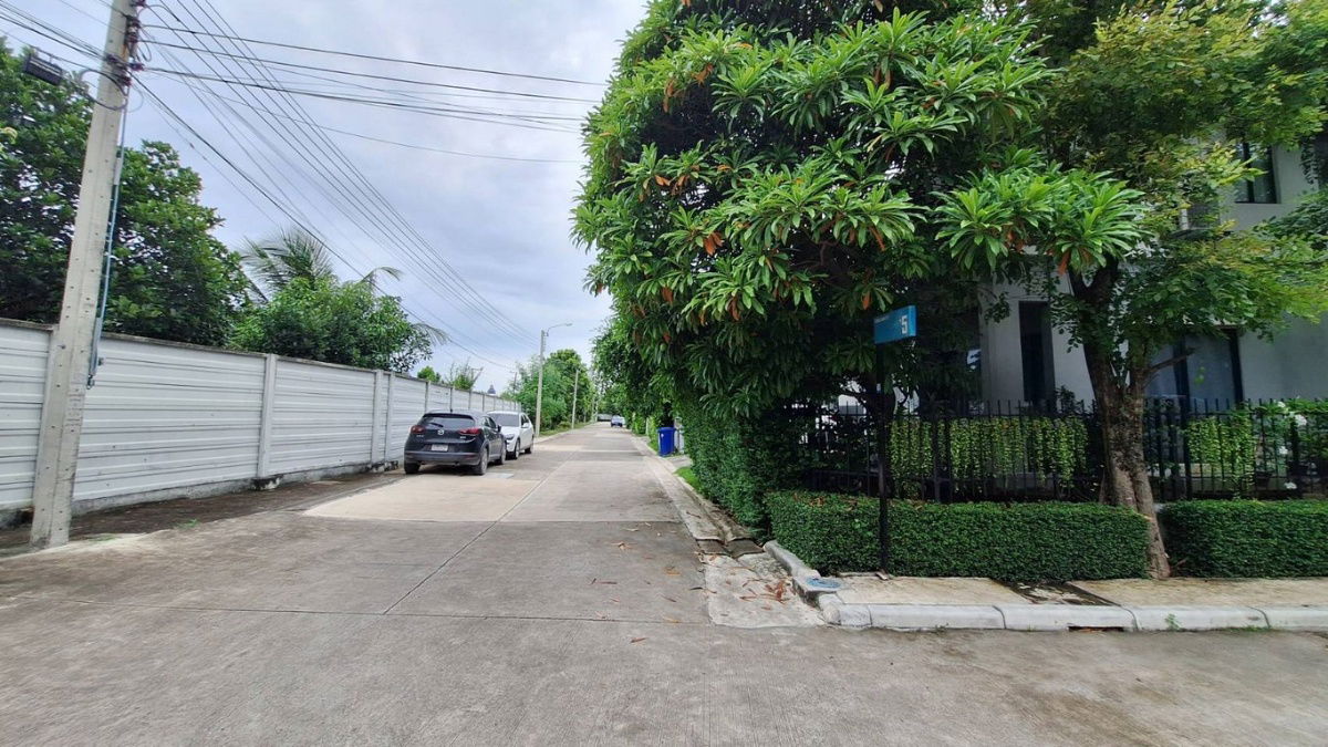 picture House for Sale 2 Storeys Delight Bangna Srinakarin 59.4 sq.wa  - 61/66