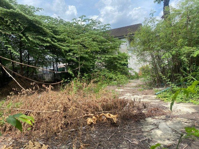picture FOR RENT  LAND PROPERTY  15000 BAHT per MONTH - 3/8