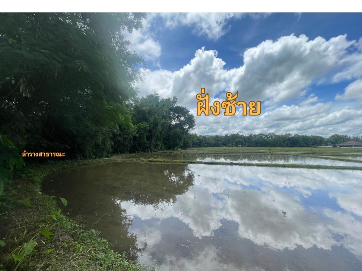 รูป ขายที่นา สันทราย อ.ดอยสะเก็ด เชียงใหม่ 7 ไร่ 108.9 ตรว. - รูปที่ 5/11