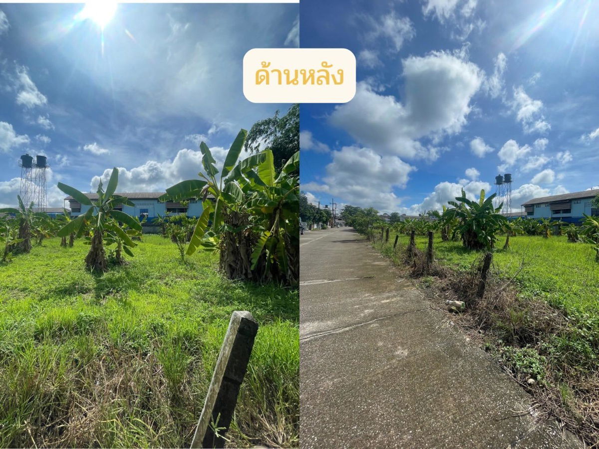 รูป ที่ดิน 2 ไร่ 3 ตรว. ย่านชุมชนแม่โจ้ อ.สันทราย จ.เชียงใหม่ - รูปที่ 9/10