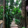 listing thumbnail image 19