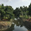 listing thumbnail image 6