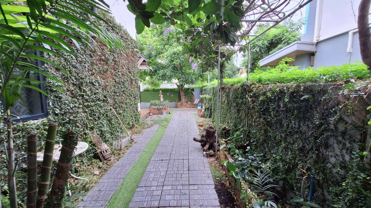 picture House for Sale 2 Storeys Delight Bangna Srinakarin 59.4 sq.wa  - 35/66
