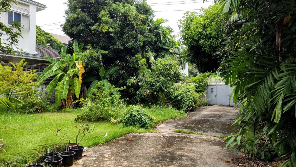 รูป ขายที่ดินปุณณวิถี สุขุมวิท101 ใกล้รถไฟฟ้า BTS ปุณณวิถี 800ม พร้อมบ้านเก่า 215ตร.ว ถนนกว้าง ปากซอยมีเซเว่น ของกิน เหมาะอพาร์ทเมนท์ สำนักงาน 0879074045 - รูปที่ 2/2