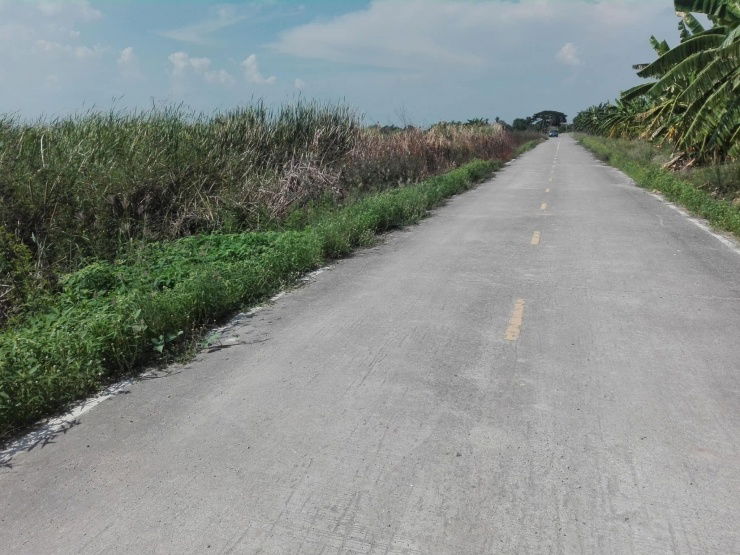 รูป ขายที่ดินแถวสุวรรณภูมิทำเลทองราคาถูก - รูปที่ 6/9