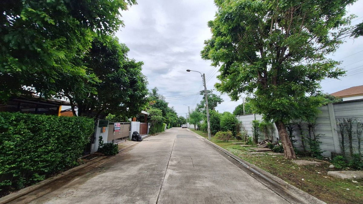 picture House for Sale 2 Storeys Delight Bangna Srinakarin 59.4 sq.wa  - 60/66