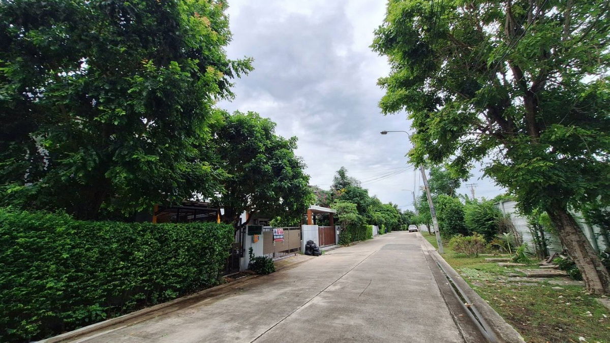 picture House for Sale 2 Storeys Delight Bangna Srinakarin 59.4 sq.wa  - 7/66