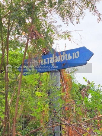 รูป ขายที่ดินเปล่า ถนนศรีนครินทร์ ซ.ศรีด่าน 22 (ซอยพัฒนาชุมชน10)ตำบลบางแก้ว อำเภอบางพลี สมุทรปราการ - รูปที่ 9/10