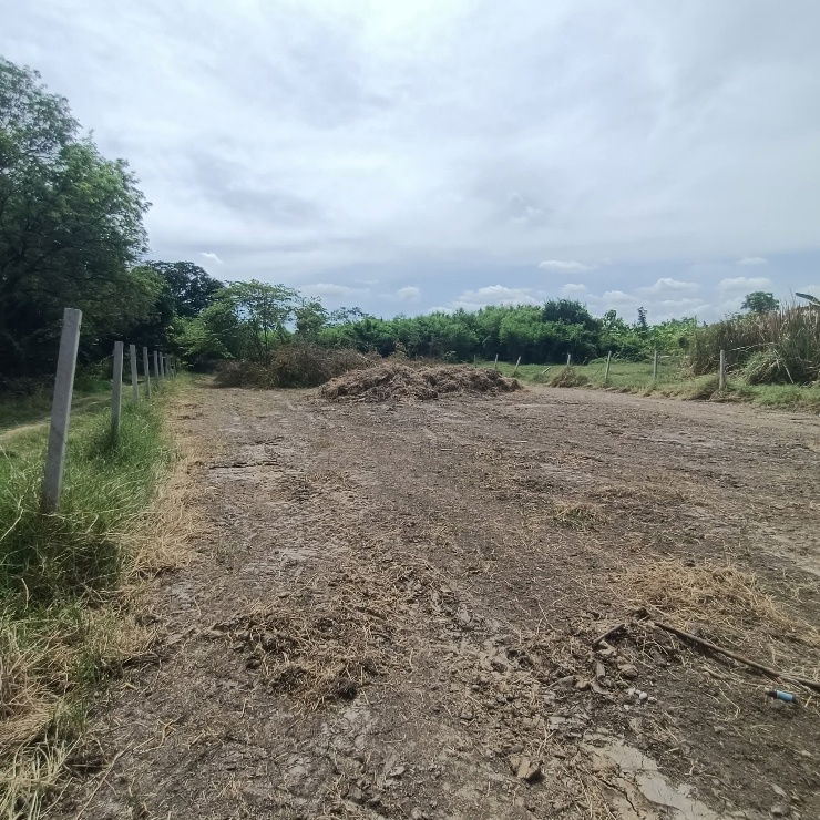 picture Land for sale on Malai Man Road 321, near Lotus Kamphaeng Saen - 13/20