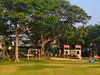 listing thumbnail image 43