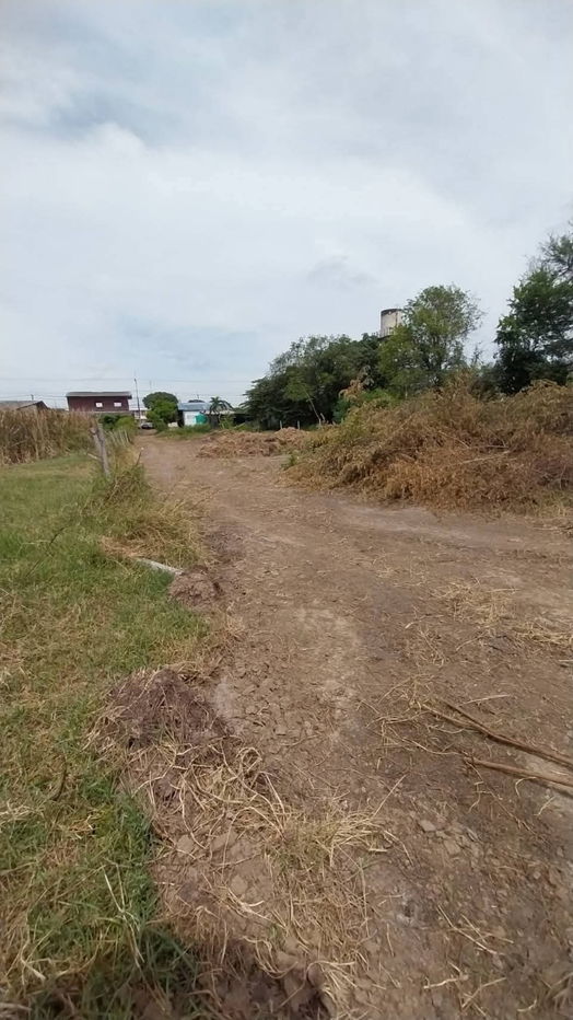 picture Land for sale on Malai Man Road 321, near Lotus Kamphaeng Saen - 19/20