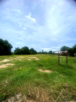 ที่ดิน เมืองนครสวรรค์ นครสวรรค์ : ขายที่ดินติดถนน 2 ไร่เศษ ตำบลวัดไทร อำเภอเมืองนครสวรรค์
