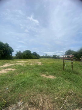 ขายที่ดินติดถนน 2 ไร่เศษ ตำบลวัดไทร อำเภอเมืองนครสวรรค์