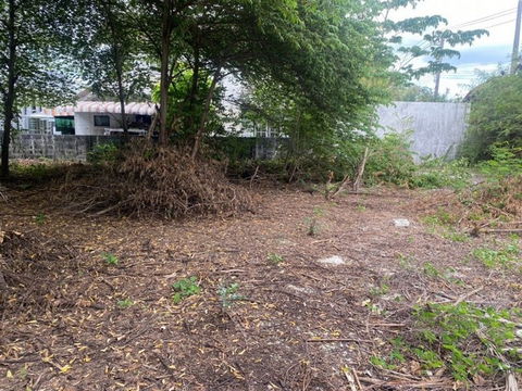 FOR RENT  LAND PROPERTY  15000 BAHT per MONTH