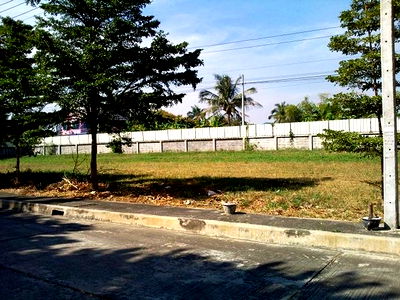 ที่ดิน บางพลี สมุทรปราการ : TD1129 ขายที่ดินแปลงงาม หมู่บ้านวินด์มิลล์ บางนา-ตราด กม.10.5 สมุทรปราการ