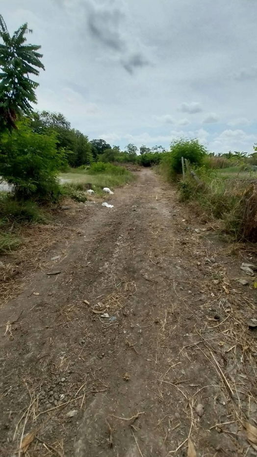 picture Land for sale on Malai Man Road 321, near Lotus Kamphaeng Saen - 2/20