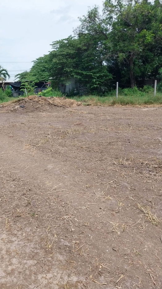 picture Land for sale on Malai Man Road 321, near Lotus Kamphaeng Saen - 17/20