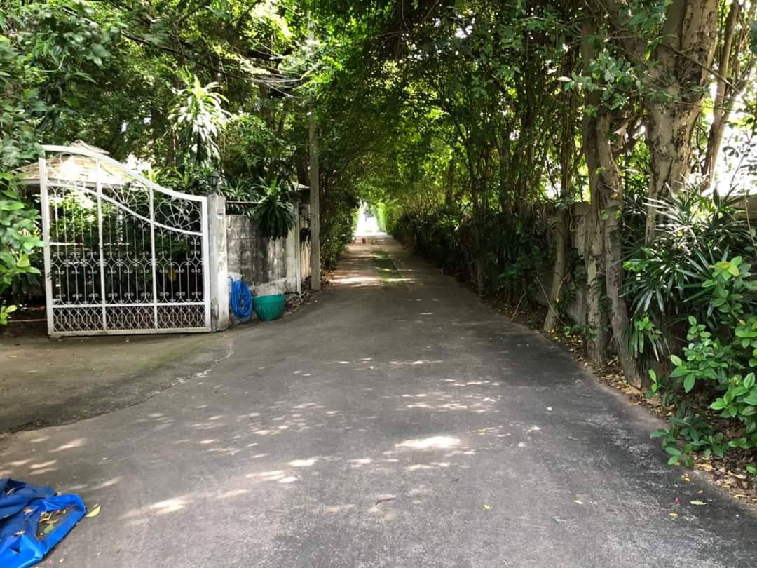 รูป ขายบ้านพร้อมที่ดินวชิรธรรมสาธิต อุดมสุข สุขุมวิท101 ที่ดิน 1ไร่ 2งาน แปลงสวยมาก ใกล้ BTS ทางด่วนบางนา,สุขุมวิท 62 ออกศรีนครินทร์ บางนาสะดวก  089074045 - รูปที่ 3/16