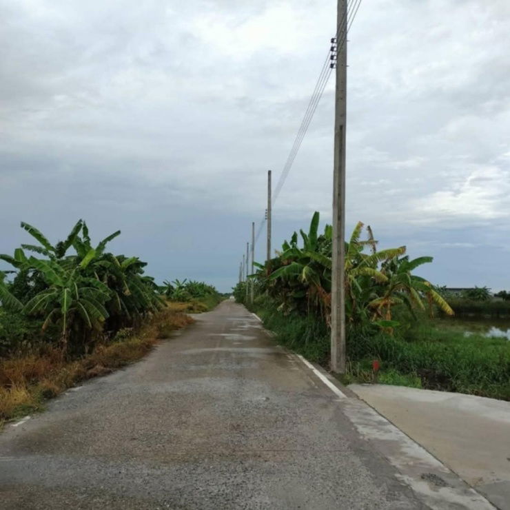รูป ขายที่ดินแถวสุวรรณภูมิทำเลทองราคาถูก - รูปที่ 3/9
