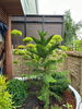 listing thumbnail image 2