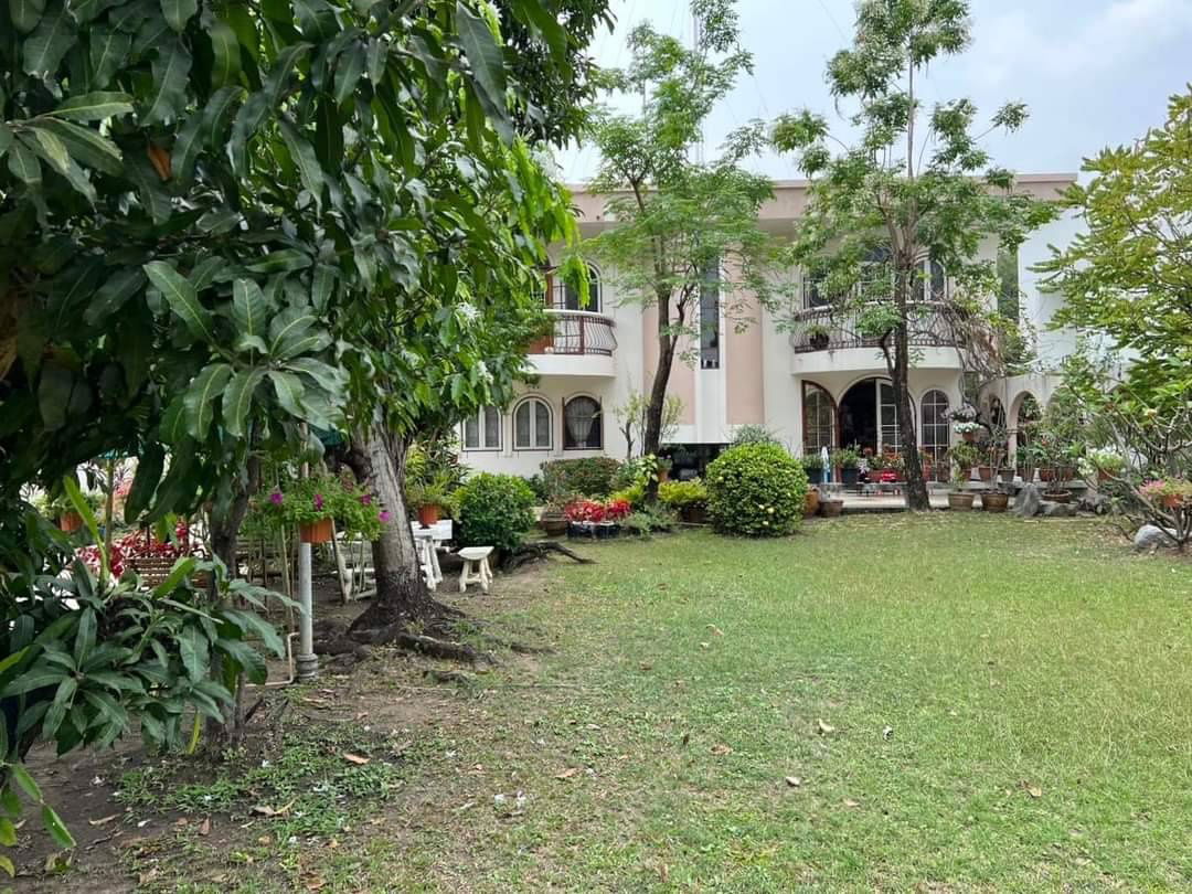 รูป ขายที่ดินสุขุมวิท64 บางจาก พระโขนง 223ตร.ว ที่ดินพร้อมบ้านเก่า ใกล้ BTS ปุณณวิถี ใกล้ทางด่วนสุขุมวิท 62 บางนา Land sukhumvit 64 sale 087-9074045 - รูปที่ 1/1