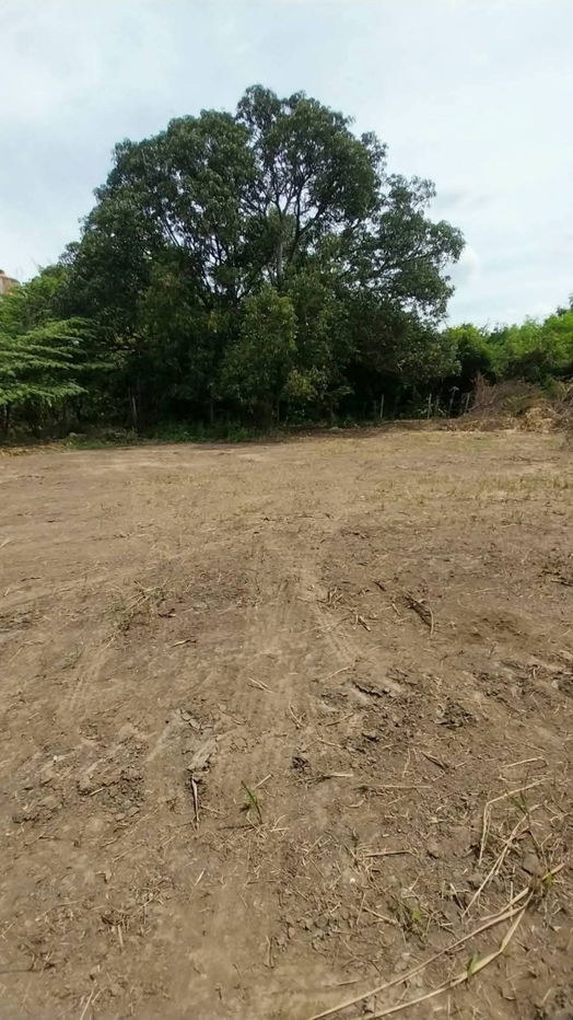 picture Land for sale on Malai Man Road 321, near Lotus Kamphaeng Saen - 9/20