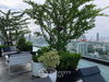 listing thumbnail image 11
