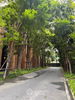 listing thumbnail image 16